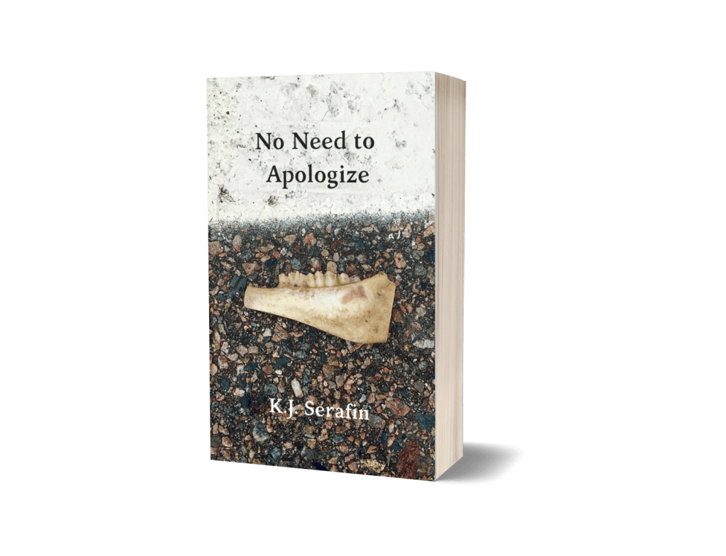 No Need to Apologize bookcover
